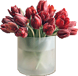  Gify - wiadro tulipanów.gif