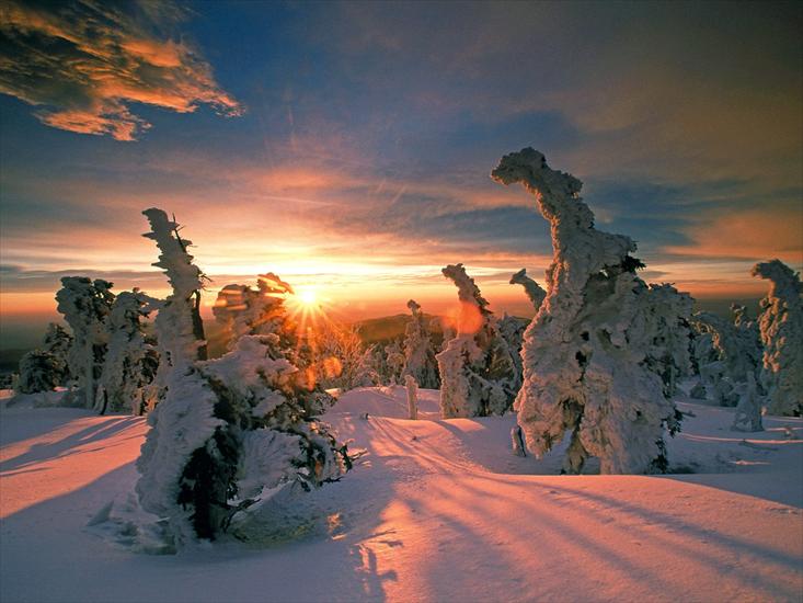 EUROPA - Image_0296.Saxony-Anhalt.Hochharz_National_Park.Snow-Covered_Trees.jpg