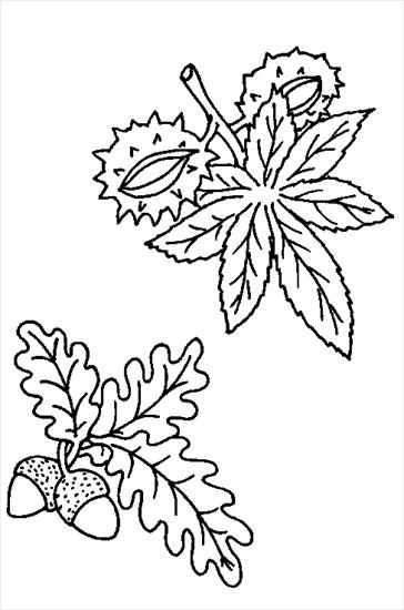 kolorowanki - herfst-eikenbladenkastanjeblad.gif