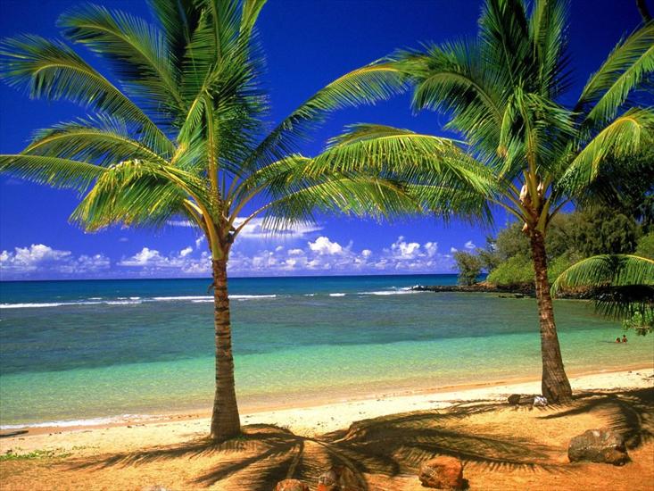 Piękne krajobrazy - Hawaje04.jpg